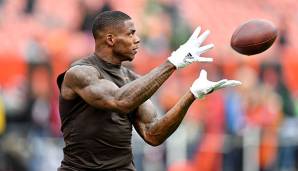 Josh Gordon wurde 2013 ins All-Pro-Team der NFL gewählt.